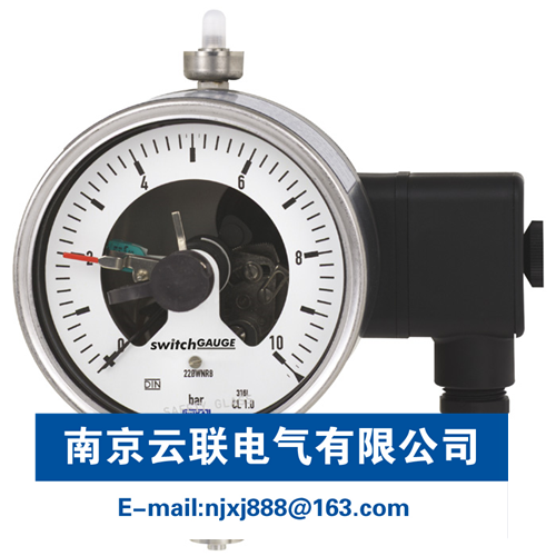 WIKA PGS23.100, PGS23.160 帶開(kāi)關(guān)電